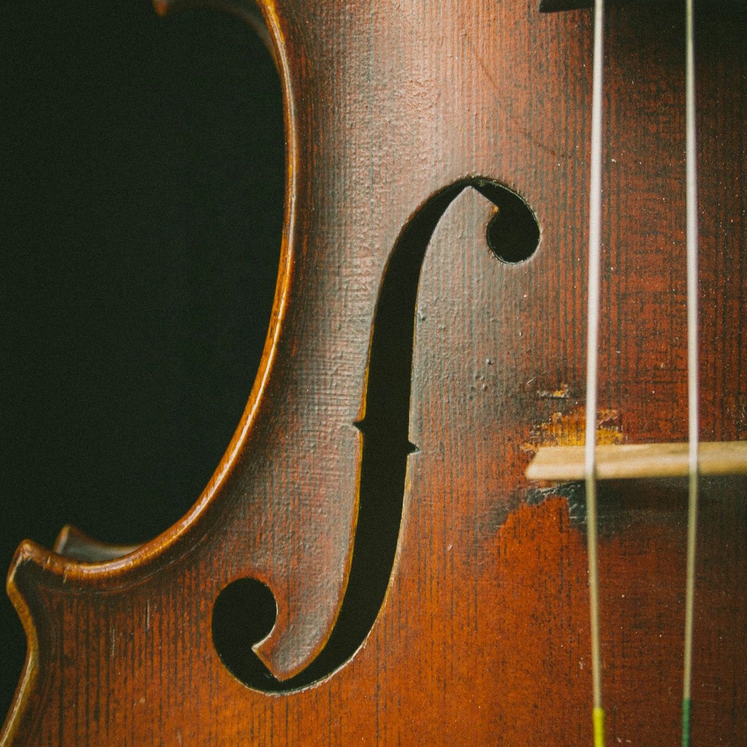Image Asset 1