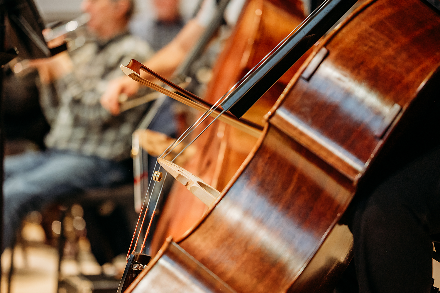 Bonafidephoto Paco Event Image Cello